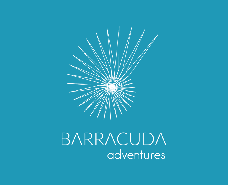 Barracuda