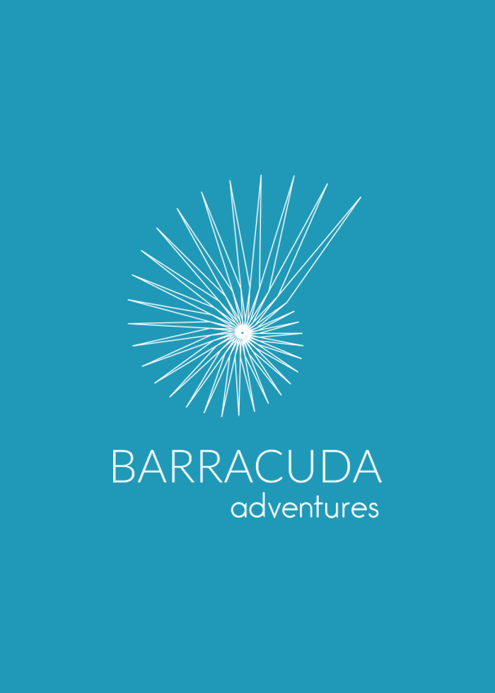 Barracuda