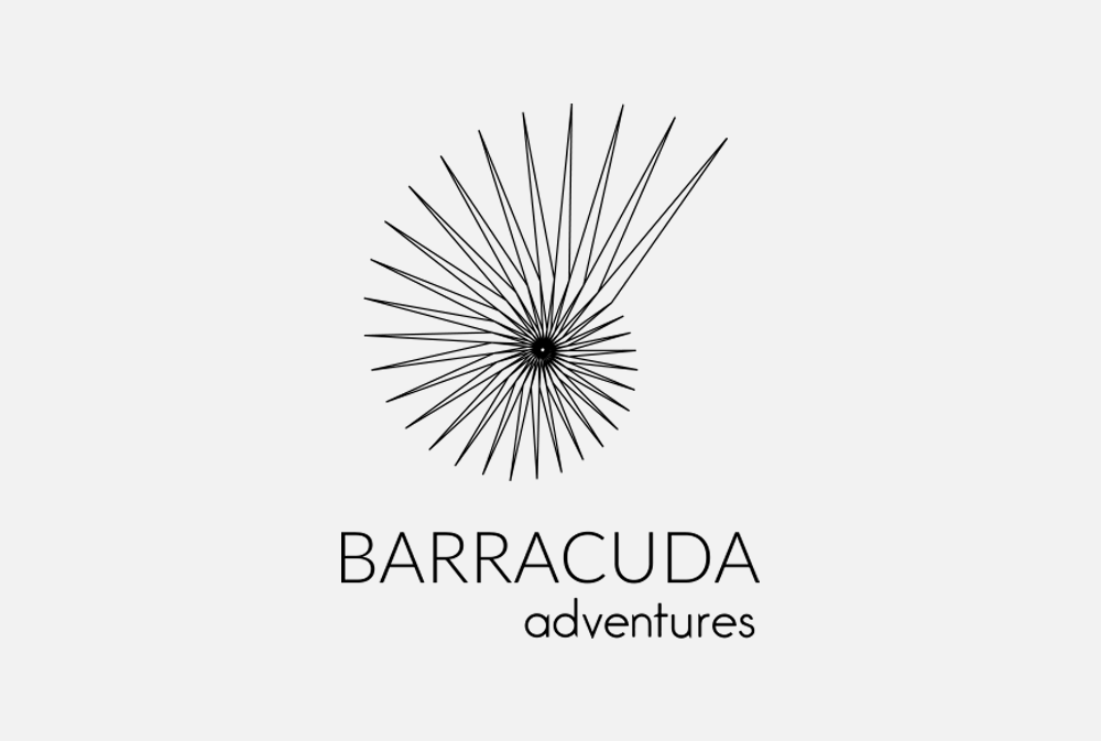 Barracuda adventures logo