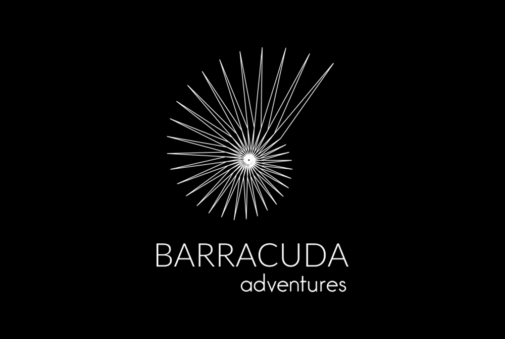 Barracuda adventures logo