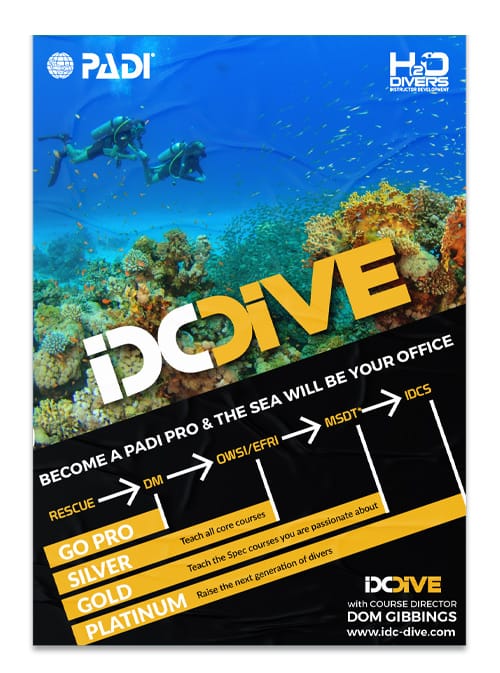 IDC DIVE