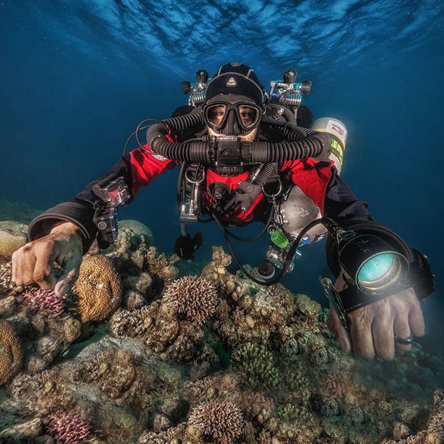 Sameh Sokar, Scuba Seekers owner