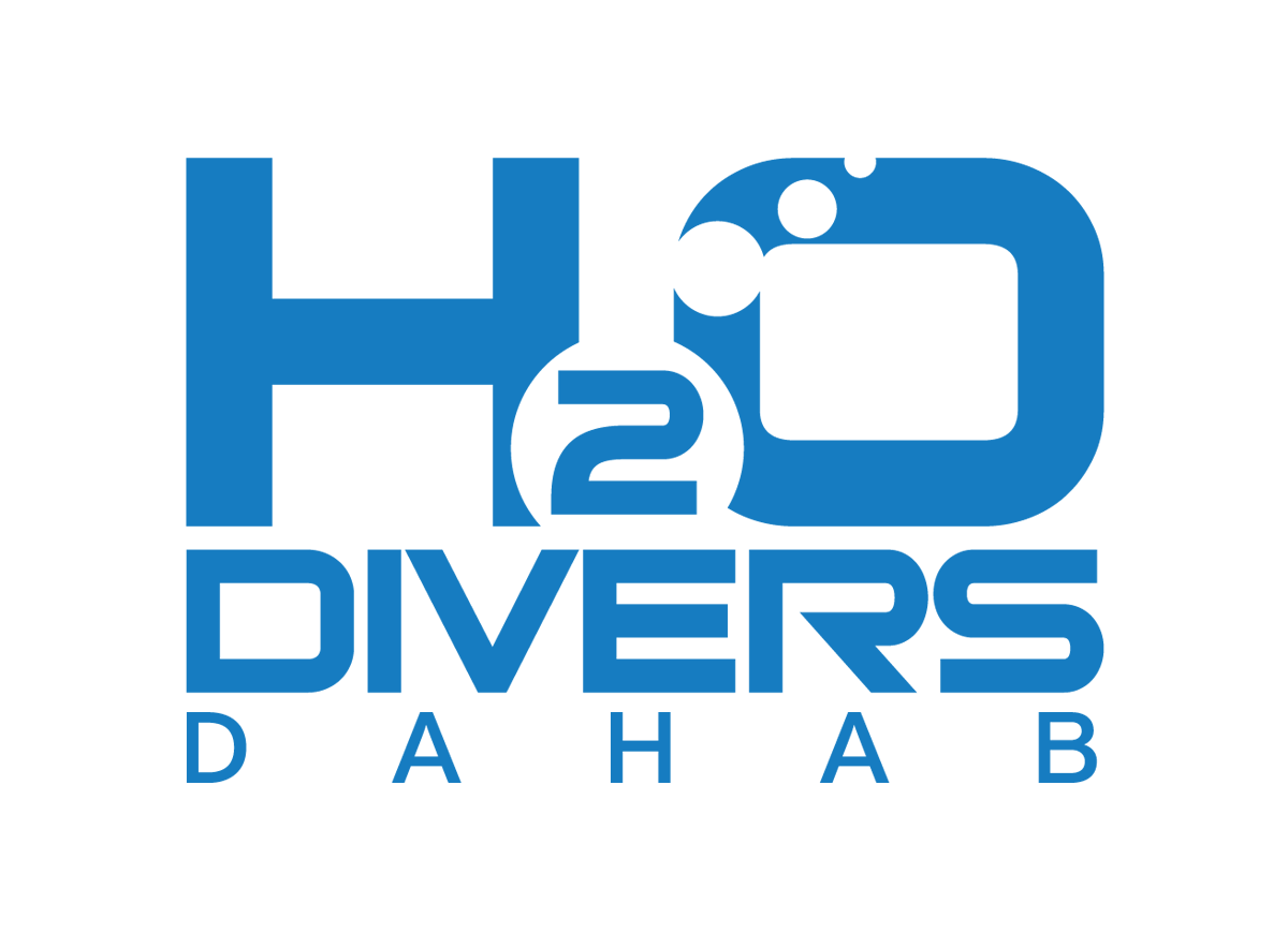 H2O Divers Dahab Logo